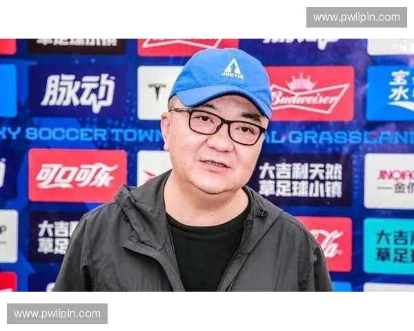 董路世界杯解说精彩回顾：一场足球盛宴背后的深度解析与感悟